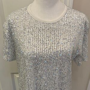INC,  Silver Sequin Sparkly Short Sleeve Top EUC Lined